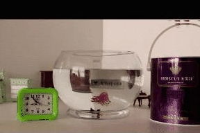 水利萬物而不爭 水電工程監(jiān)理的智慧與擔(dān)當